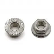 M6 Serrated Carbon-Steel Flange Nut
